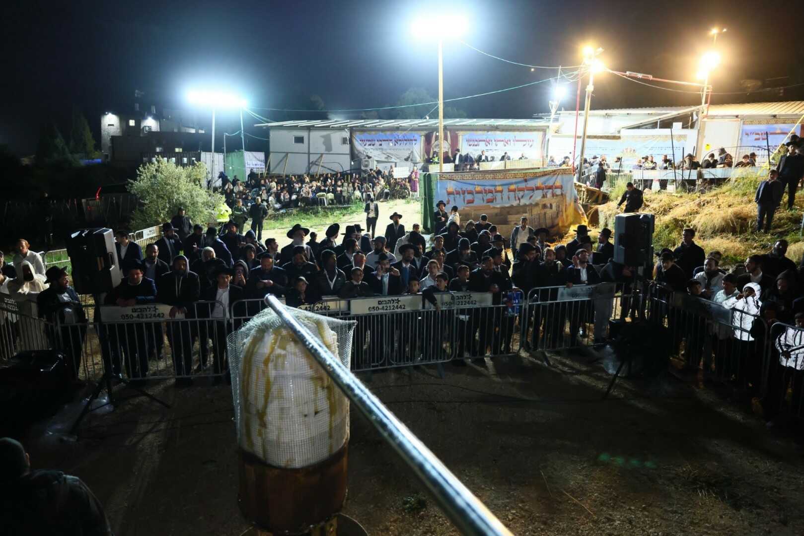 גלריית מירון 10